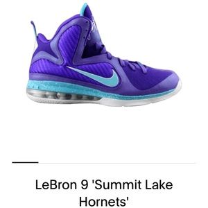 Nike LeBron 9 summit lake Hornets BB Shoes